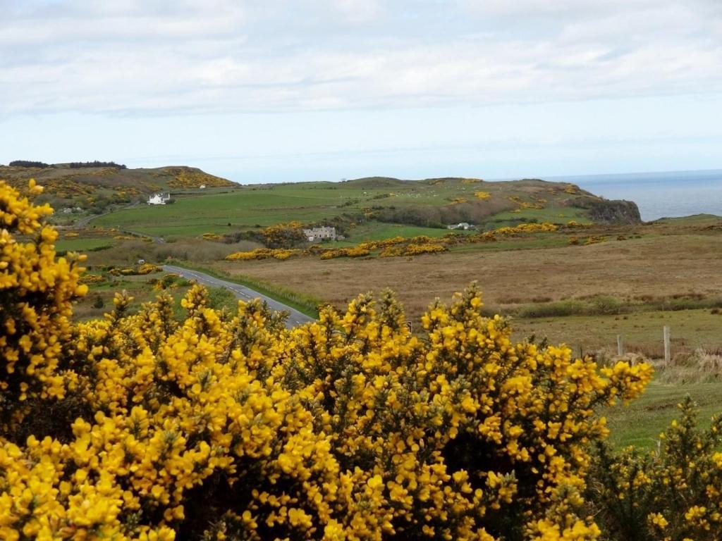 Glenmore House Ballycastle